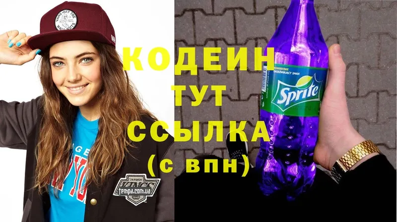 купить закладку  Карабаново  Кодеиновый сироп Lean Purple Drank 